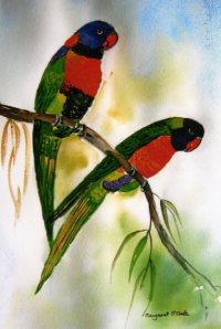Rainbow Lorikeet