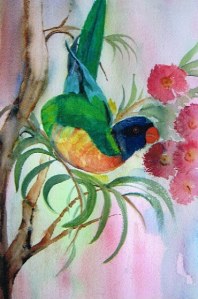 Rainbow Lorikeet